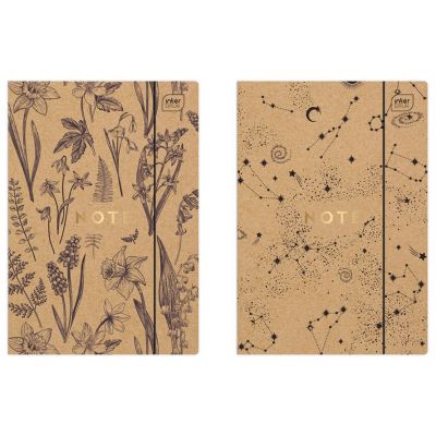 Cardboard folder with rubber A4+ Kraft, assortment, Interdruk