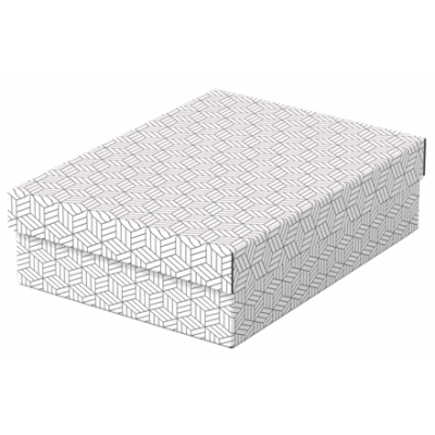 Hoiukast kaanega, kokkupandav, valge, 3 tk komplekt, 265 x 100 x 360 mm, Esselte Home Storage Box Low Medium