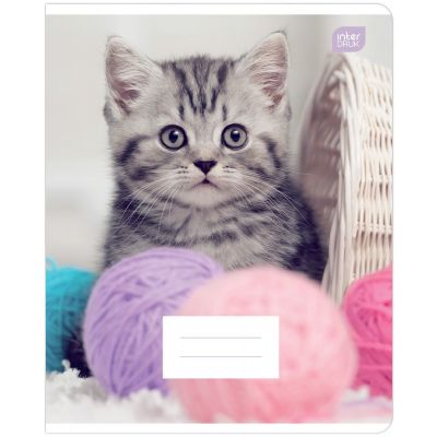 School notebook 165x208 12 pages, 23 lines, I Love Pets assorted Interdruk