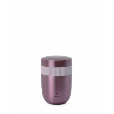 Toidutermos CHIC.MIC Bioloco Sky 200+420ml Rose Gold