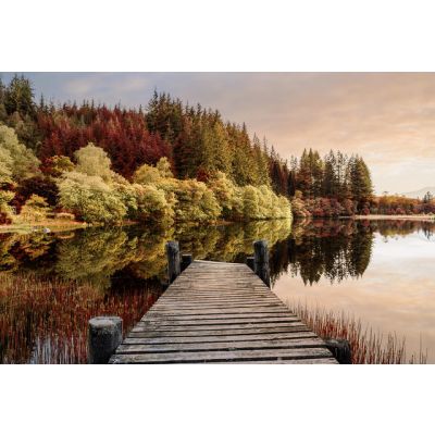Seinapilt Glass Autumn Path 80x120cm