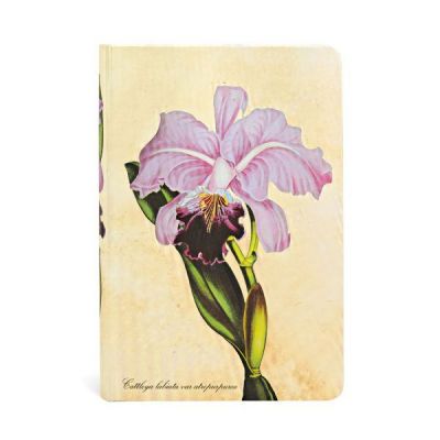 Märkmik Paperblanks Brazilian Orchid Mini jooneline