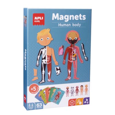 Magnetic game, The human body model, Apli, 5+