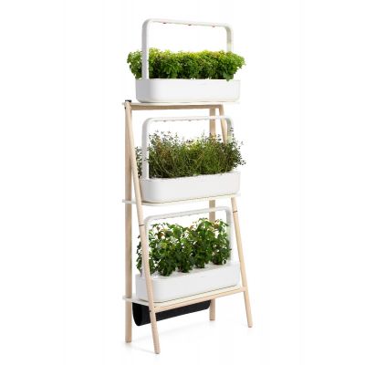 Smart Garden Click & Grow Smart Garden 27 Set of tea and herbs