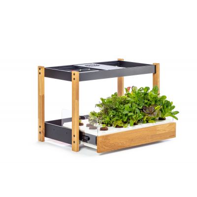 Nutiaed Click & Grow Smart Garden 25 Vitamiiniaed