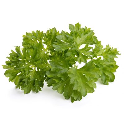 Click & Grow curly leaf parsley plant capsules, 9-pack