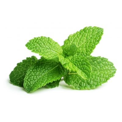 Click & Grow Peppermint Plant Capsules, 9-pack