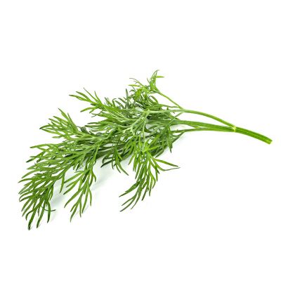 Click & Grow dill plant capsules, 9-pack