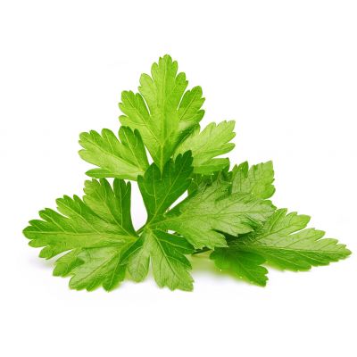 Click & Grow coriander plant capsules, 9-pack