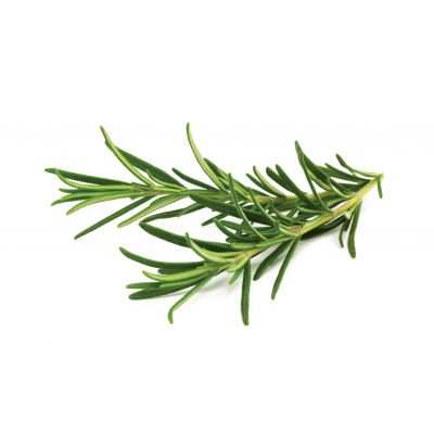 Click & Grow Rosemary Herbal Capsules, 9-pack
