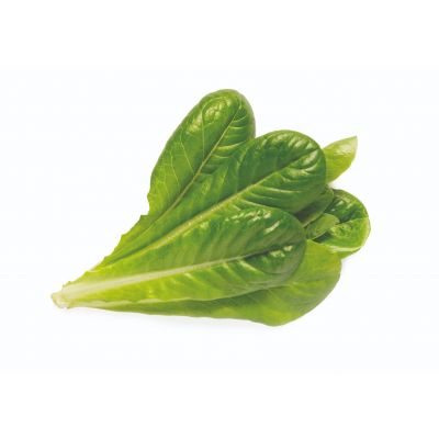 Click & Grow Romaine Vegetable Capsules, 9-pack
