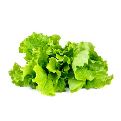 Click & Grow lettuce plant capsules, 9-pack