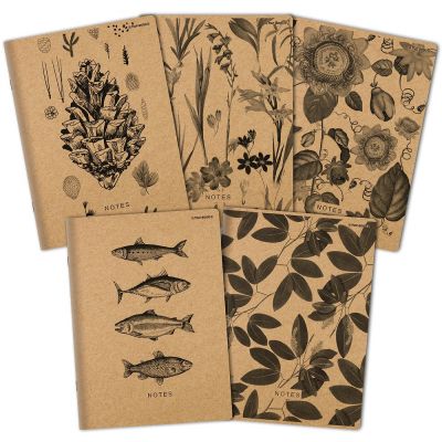 Kaustik A5 60l, 5x5 ruut, taaskasutatud paber, Go Green, assortii, TOP-2000