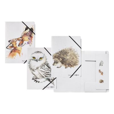 Elasticated File Save Me, recycled cardboard, A4, 3 flaps, assorted, Pagna