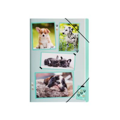 Elasticated File, Dogs, A4, 3 flaps, PP, Pagna