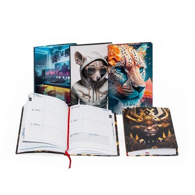 Small Diary Flex, 112x175mm, hardcover, 4 cover pictures, rubber strap